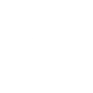 Skull Hearts Logo 3D